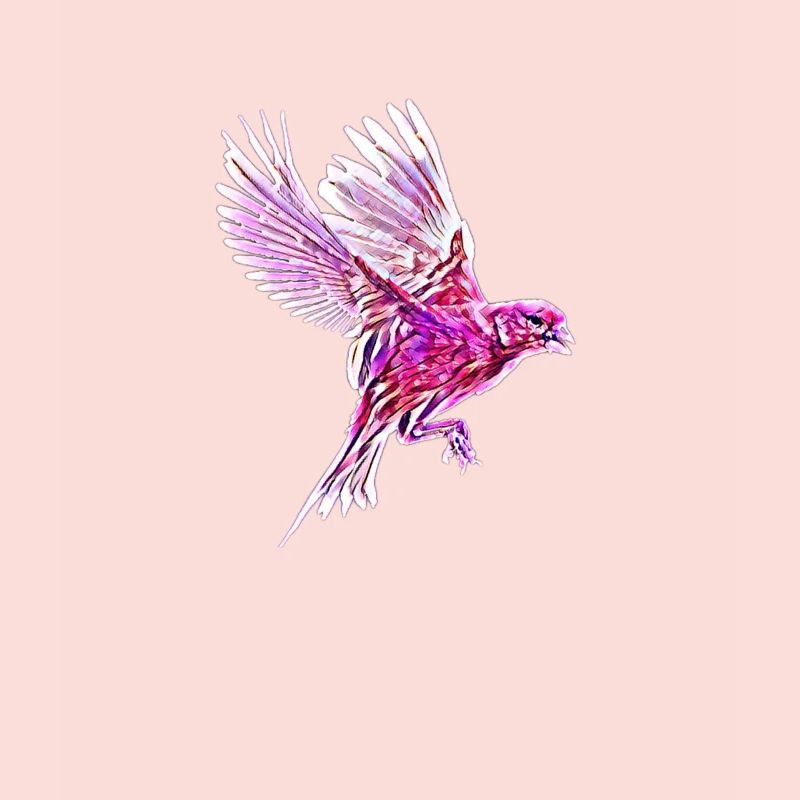 Vogel