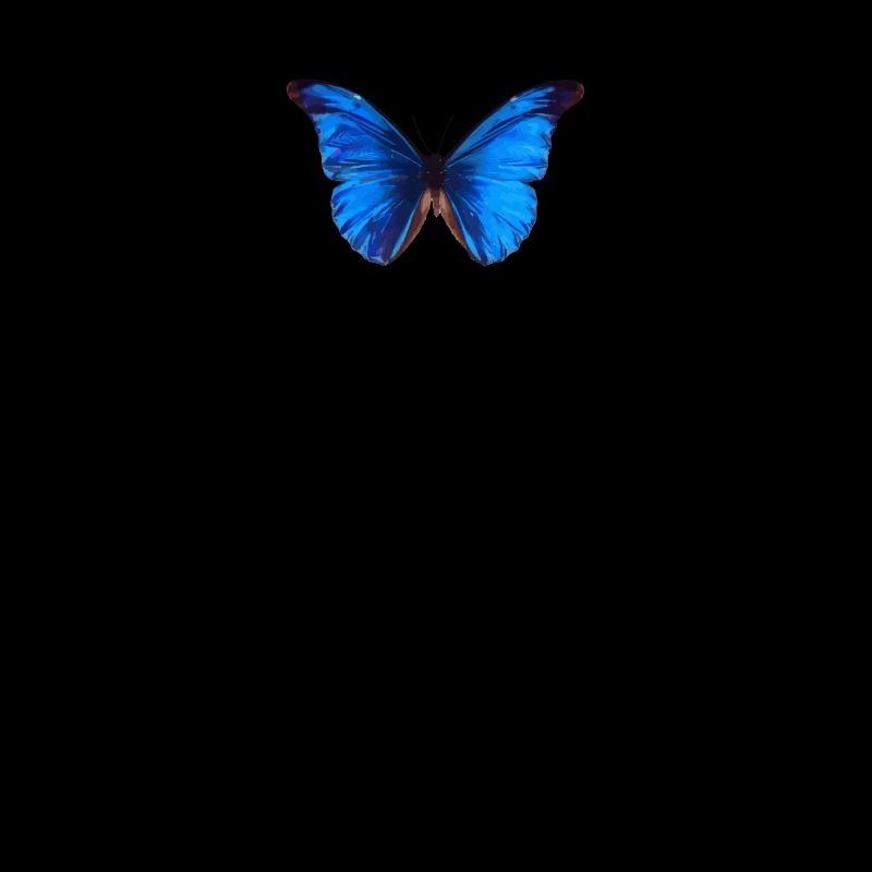 Esthétique papillon bleu