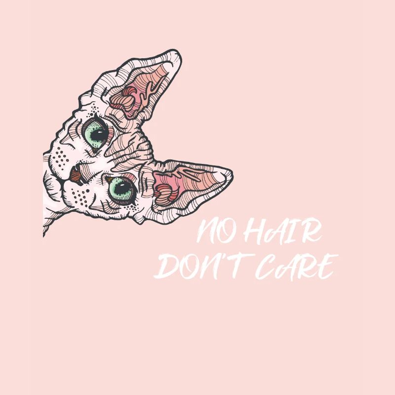 Sphynx Katze