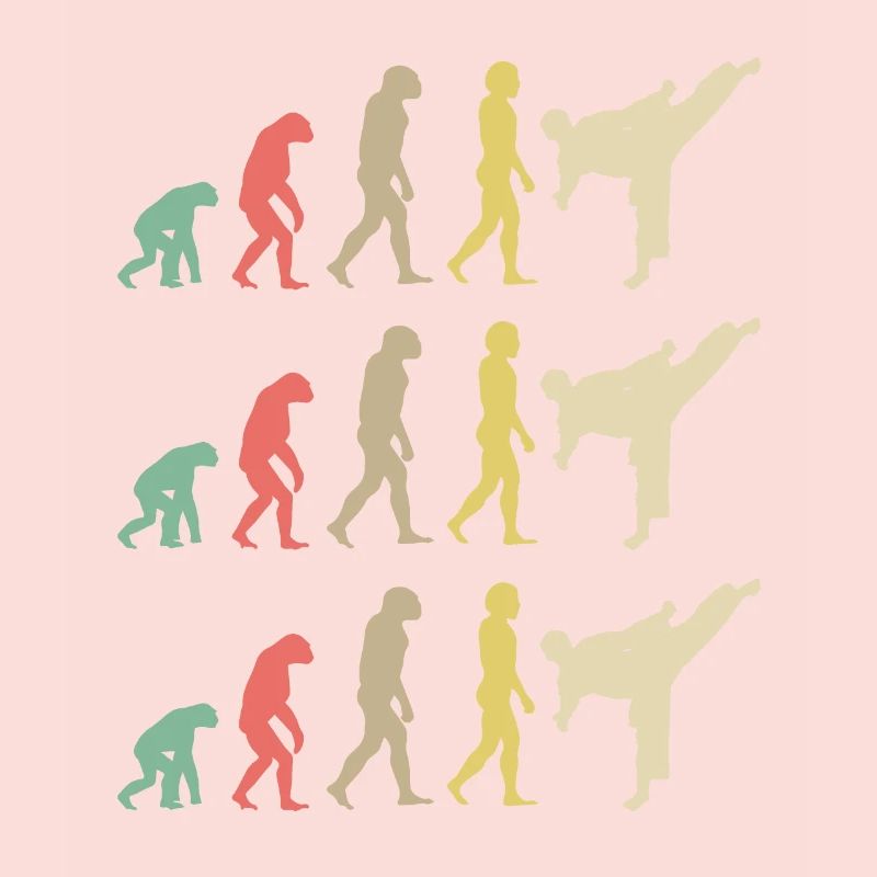Karate Evolution - Taekwondo
