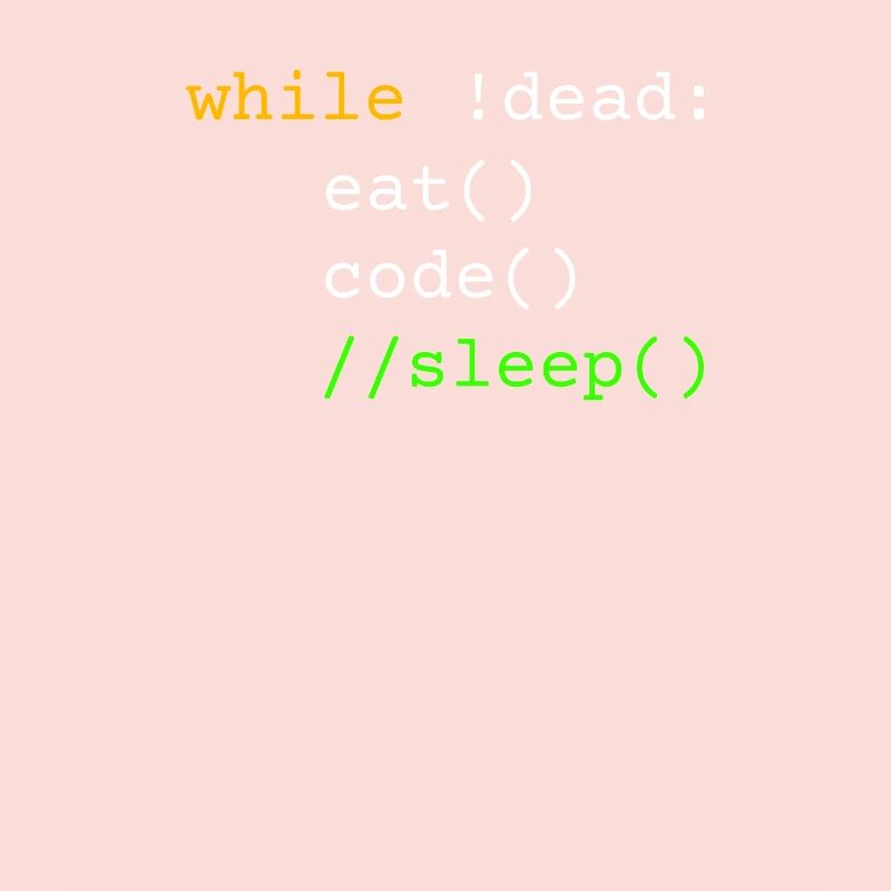 Programmeur cadeau