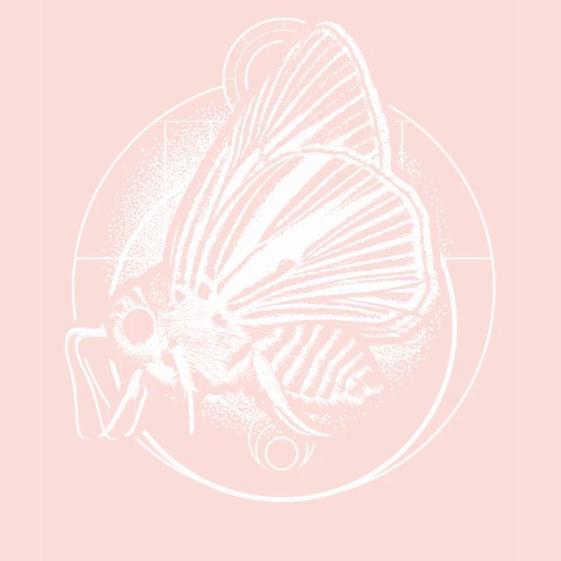 Goth Moth und Crescent Moon Gruseliges Design Geschenk