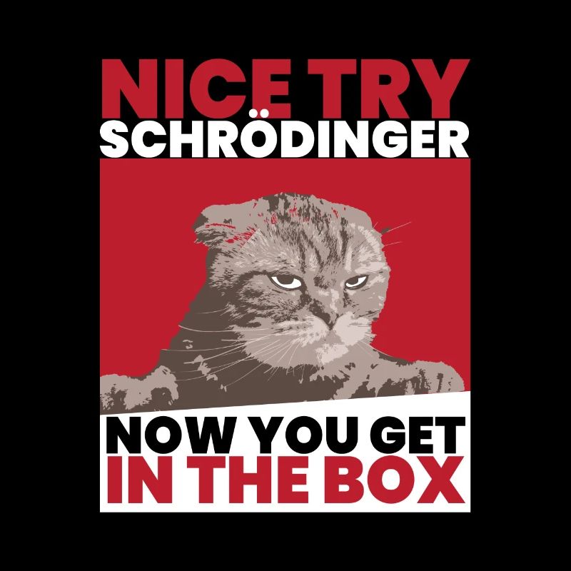 Nice Try Schrödinger Schrödinger Chat Schrödinger
