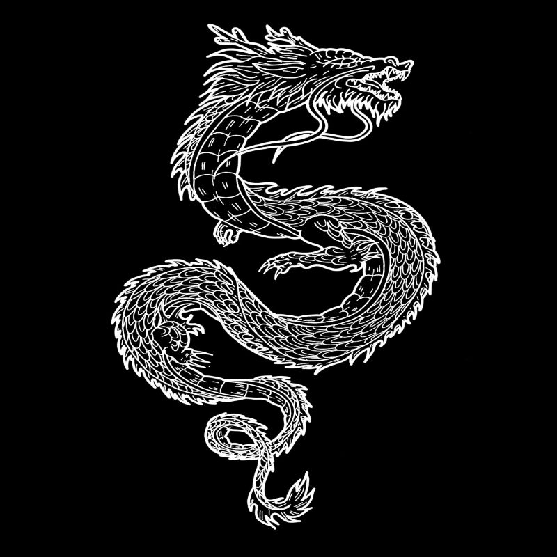 Japan dragon symbol minimalistic white clouds