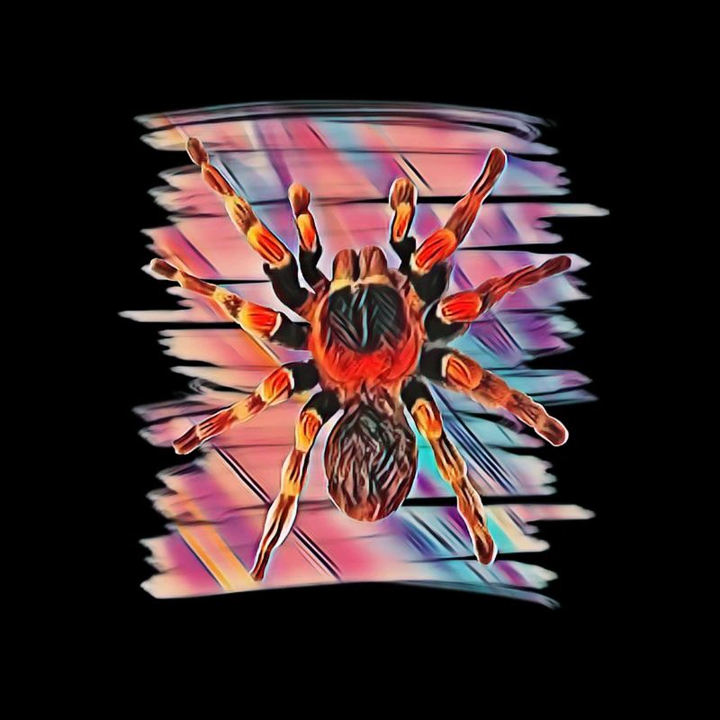 Tarantula