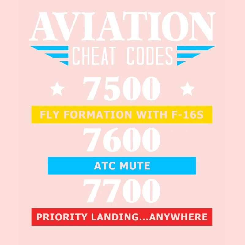 Aviation Cheat Codes Geschenk, Aviation Geschenk,