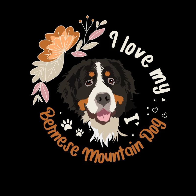 Bouvier bernois Sennen propriétaire de chien