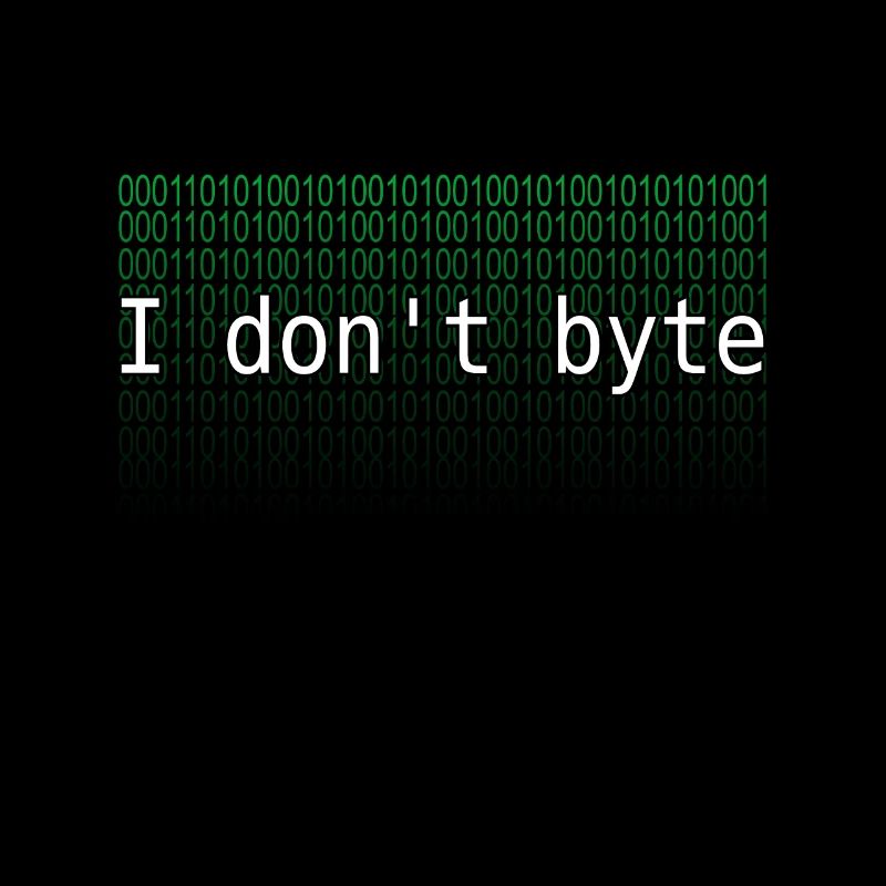 programmeur