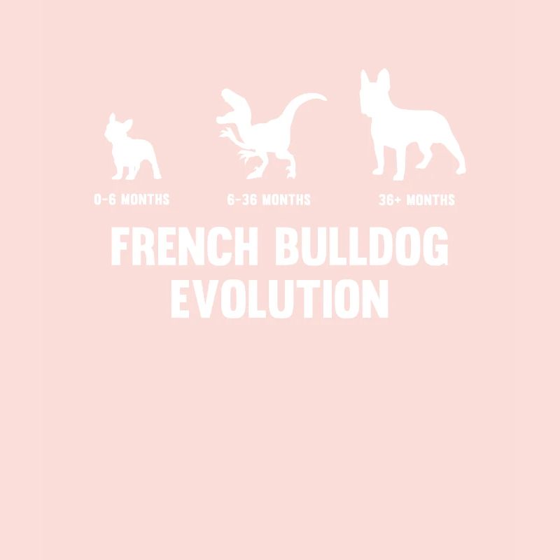 Evolution du bouledogue français pour un