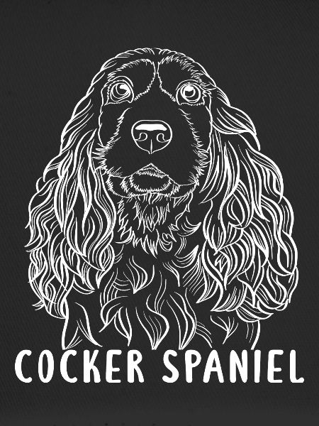 cocker spaniel hund