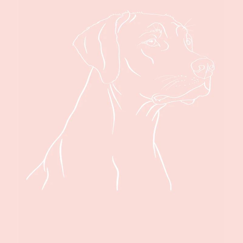 Rhodesian Ridgeback male gift