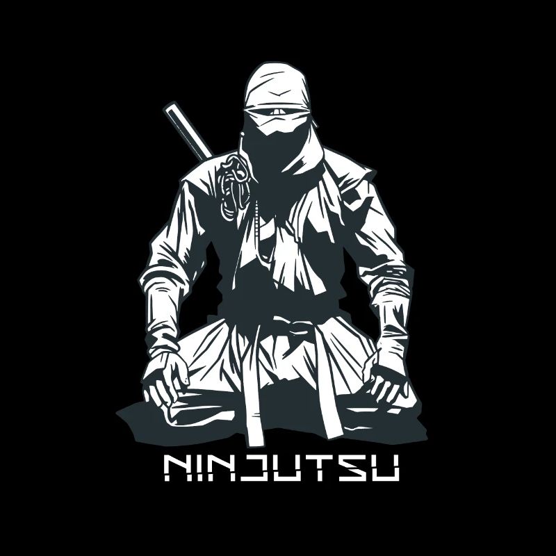 Die Kampfsportart Ninjutsu