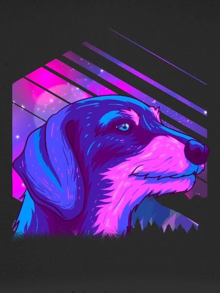 Wire-haired brown dachshund