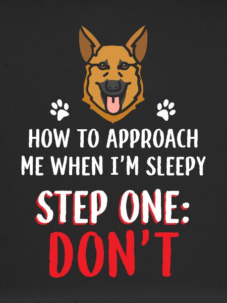 German shepherd dog