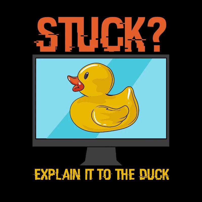 PROGRAMME: Explain It To The Duck