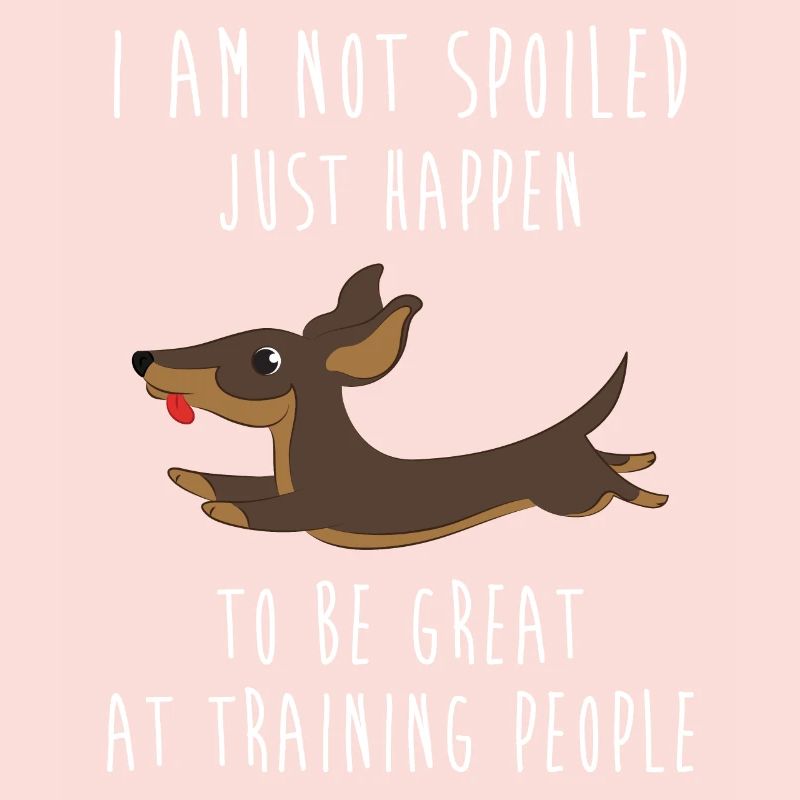 Dachshund