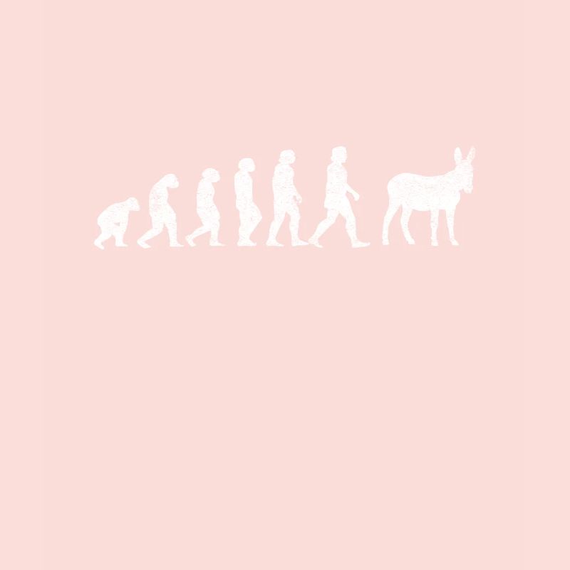 Donkey Mules Mules Mulis Evolution