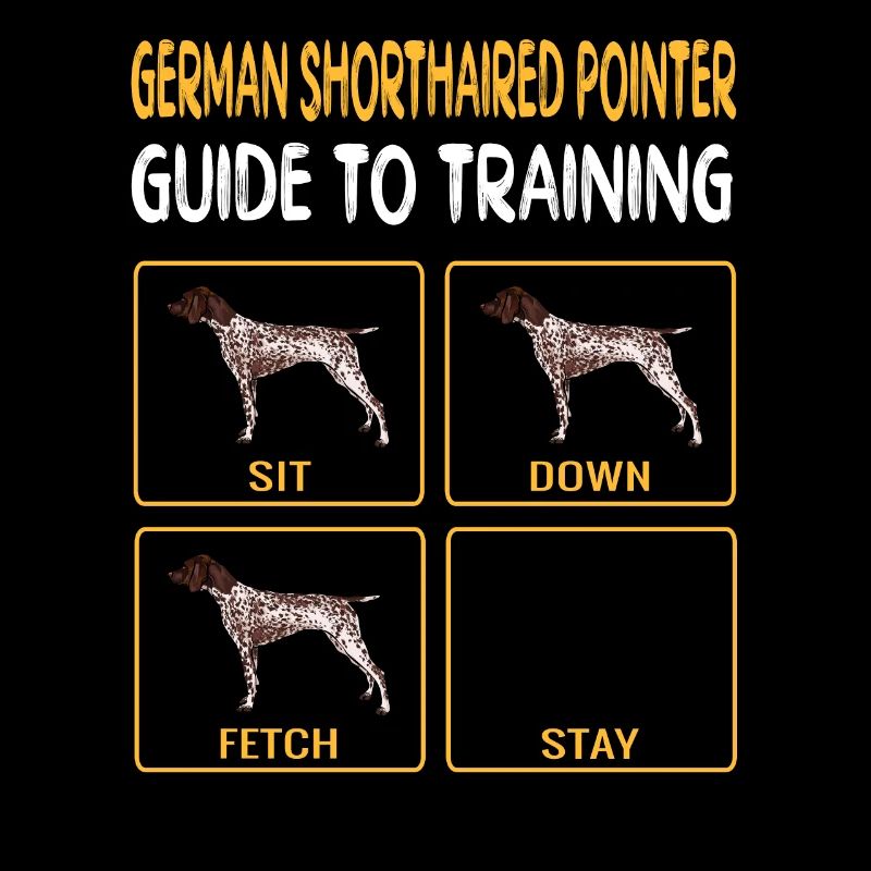 German Shorthaired Pointer Guide To Training Dog O