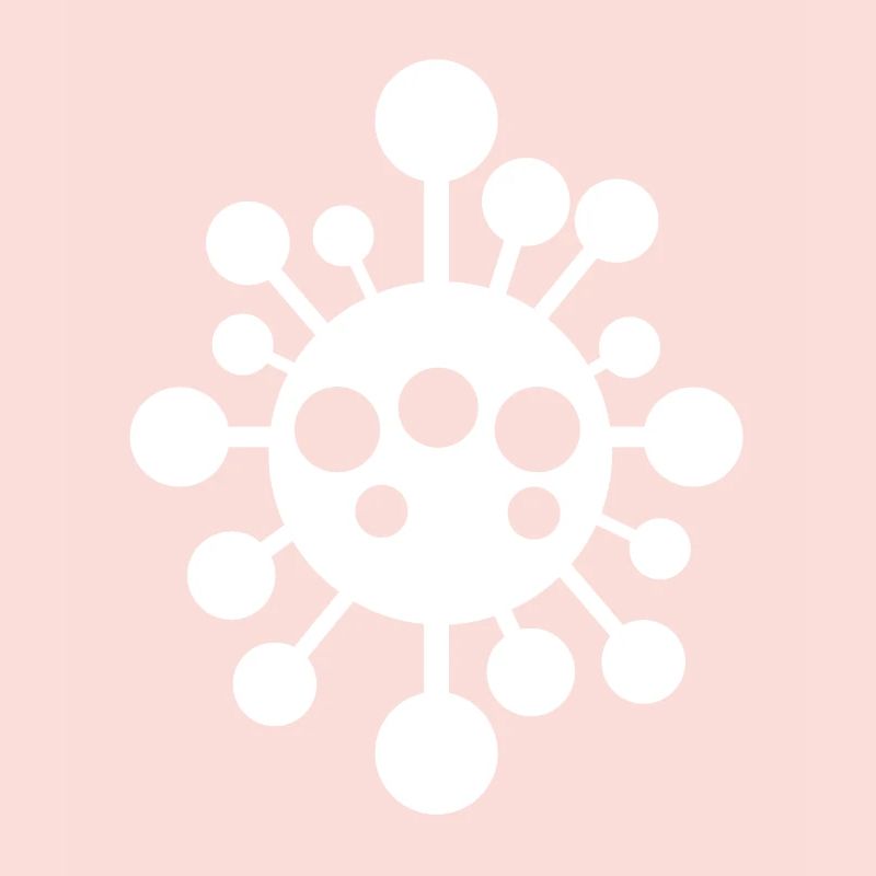 Virus Virus Bactéries