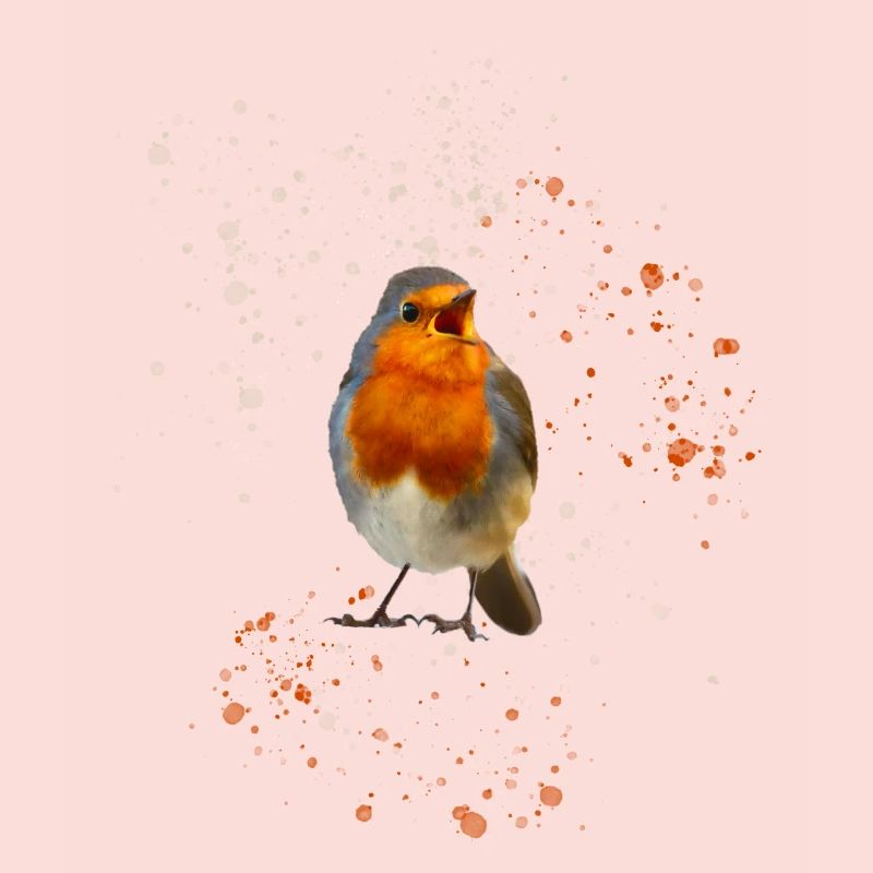 cute chirping robin Robin