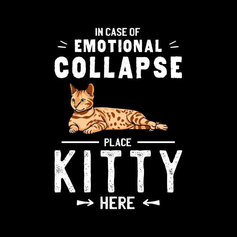 Emotional collapse cat place here