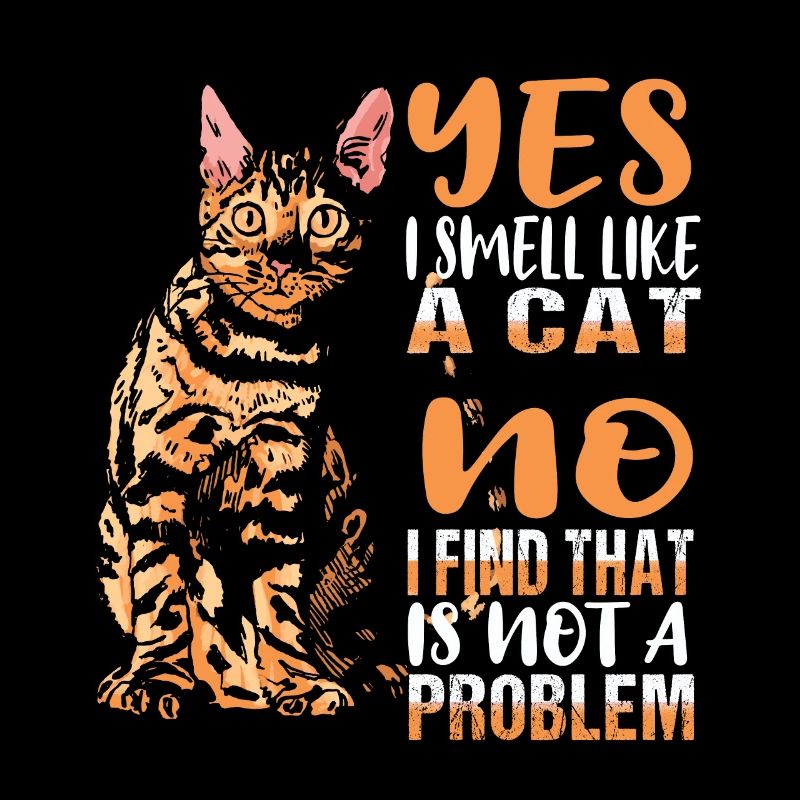 Chat Chats Les félins sentent l’odeur