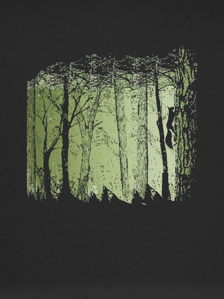 Squirrel In Forest