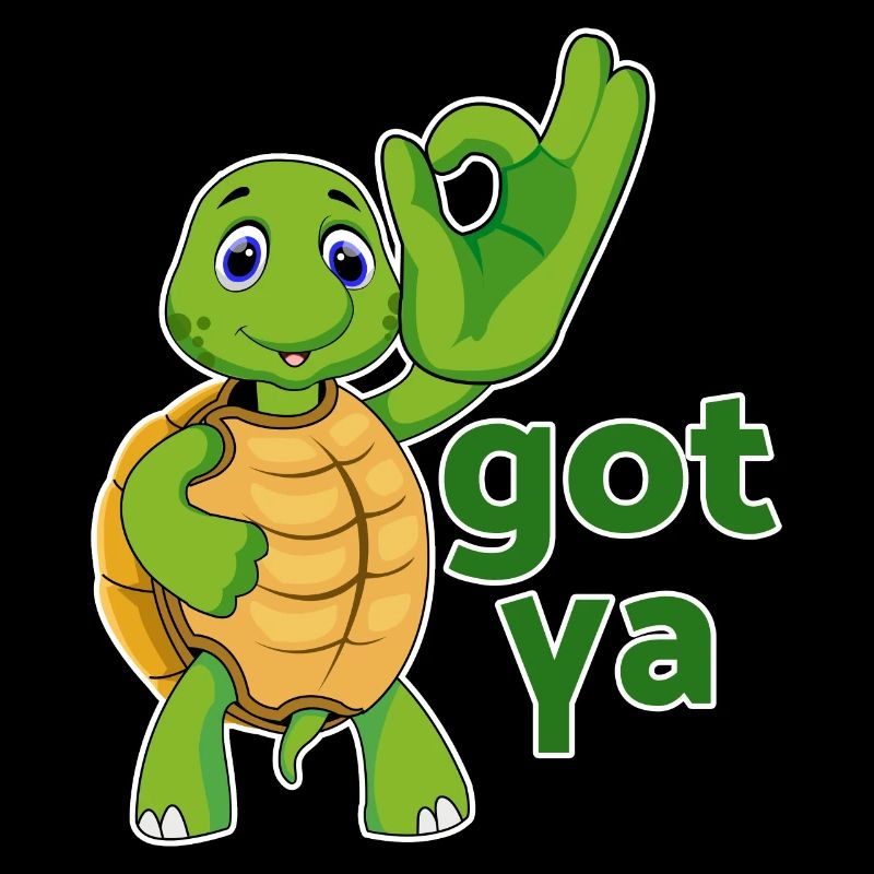turtle turtle testudines toad