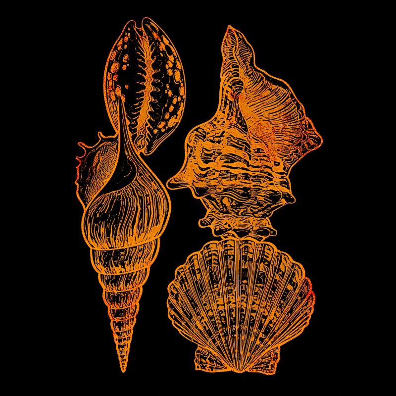 Mollusques bivalves