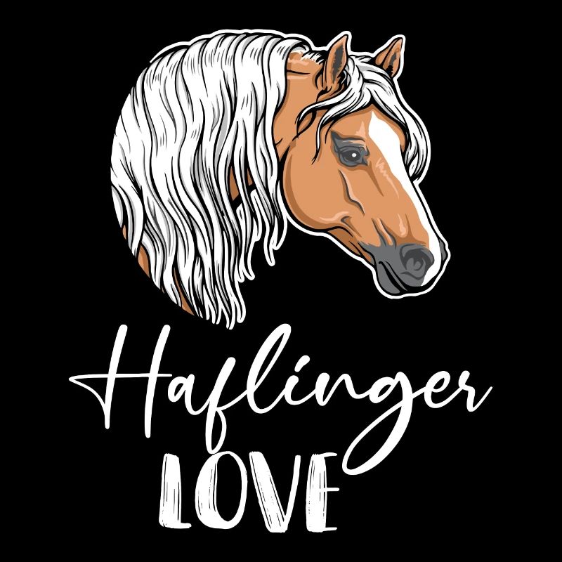 Cheval Haflinger Amour Cavalière Équestre