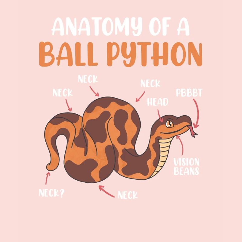 Snake Anotomy of a King Python Ball Python