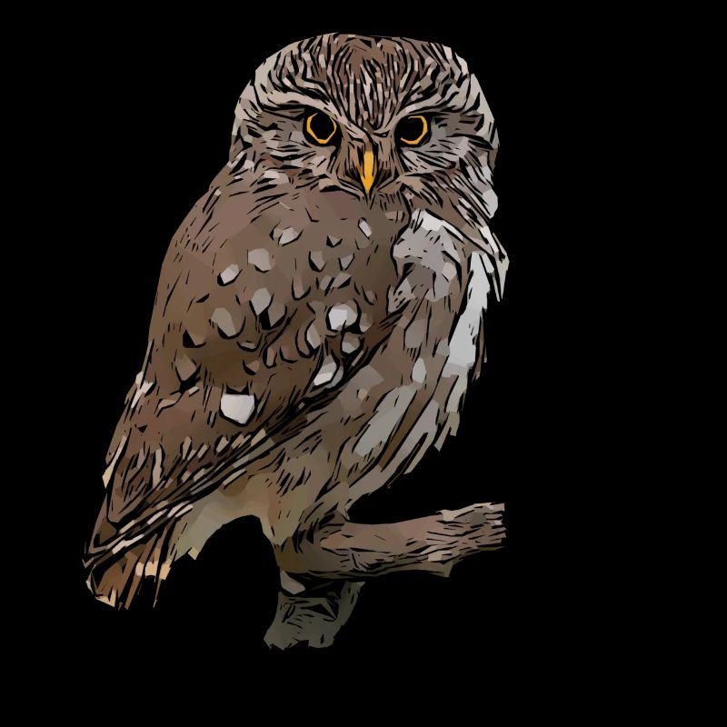 Eulen Eule Vogel Tiermotiv Aufdruck print