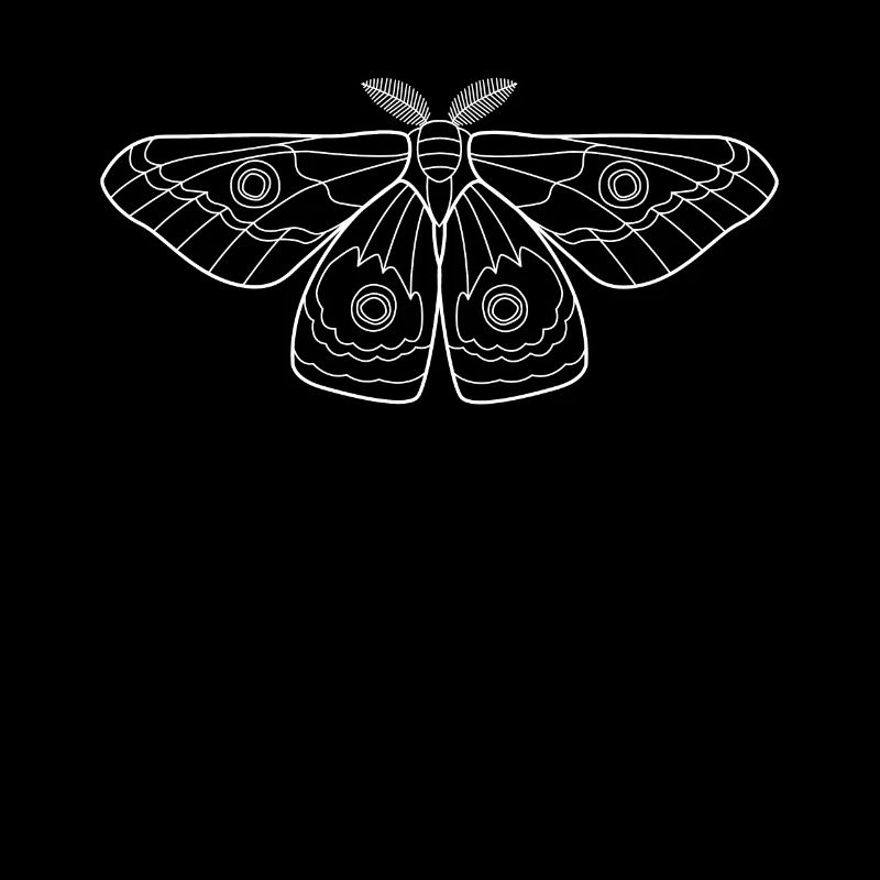 Moth Moth Butterfly Insects Gift