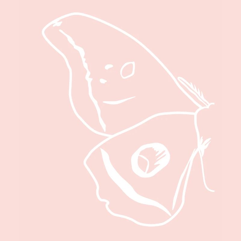 Moth Outline Wing Moth