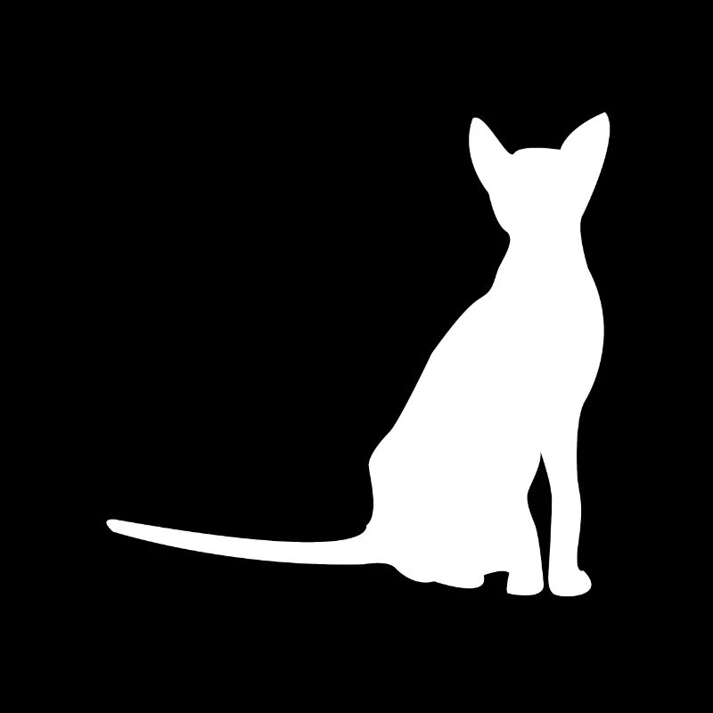 Chats chats silhouette