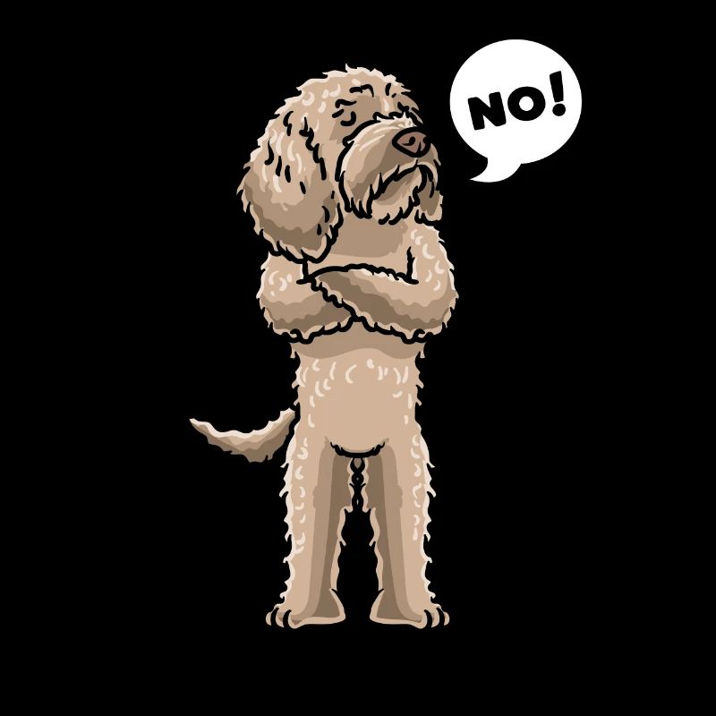 Sturer Labradoodle Hund