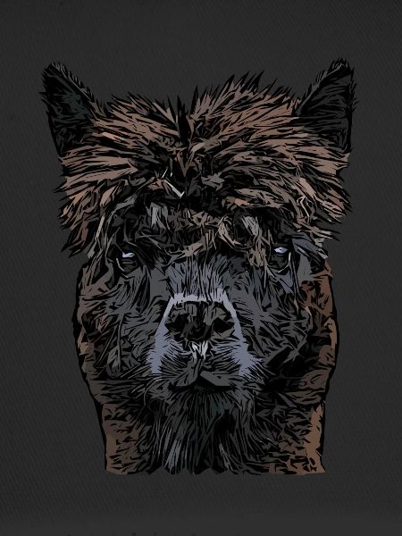Lama Animal Face