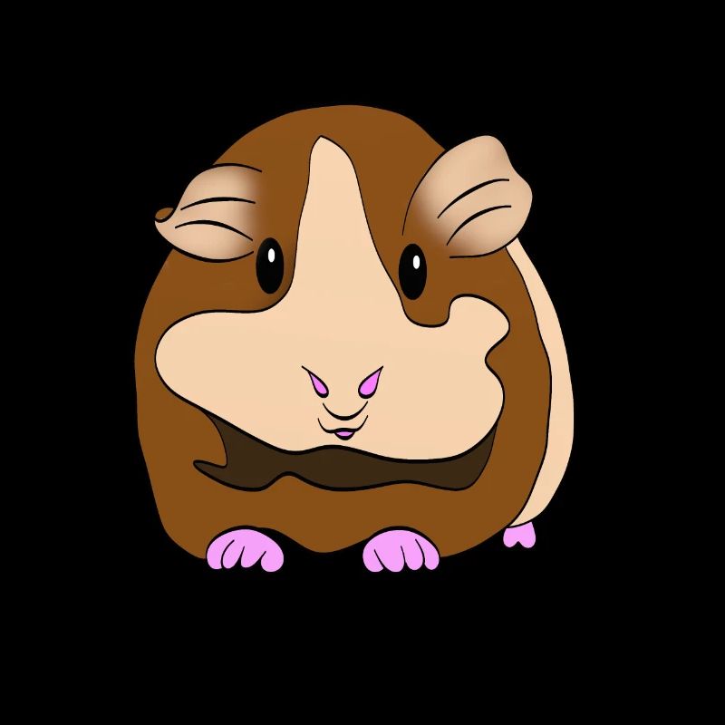 Cochon d'Inde - Cochon d'Inde