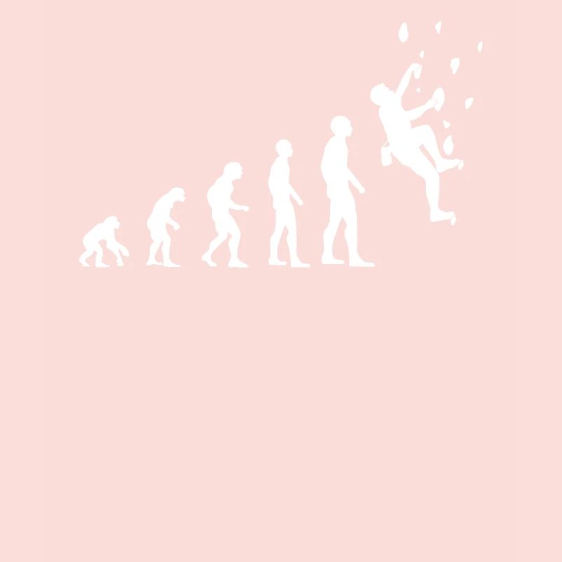 Climber Evolution Salle d’escalade