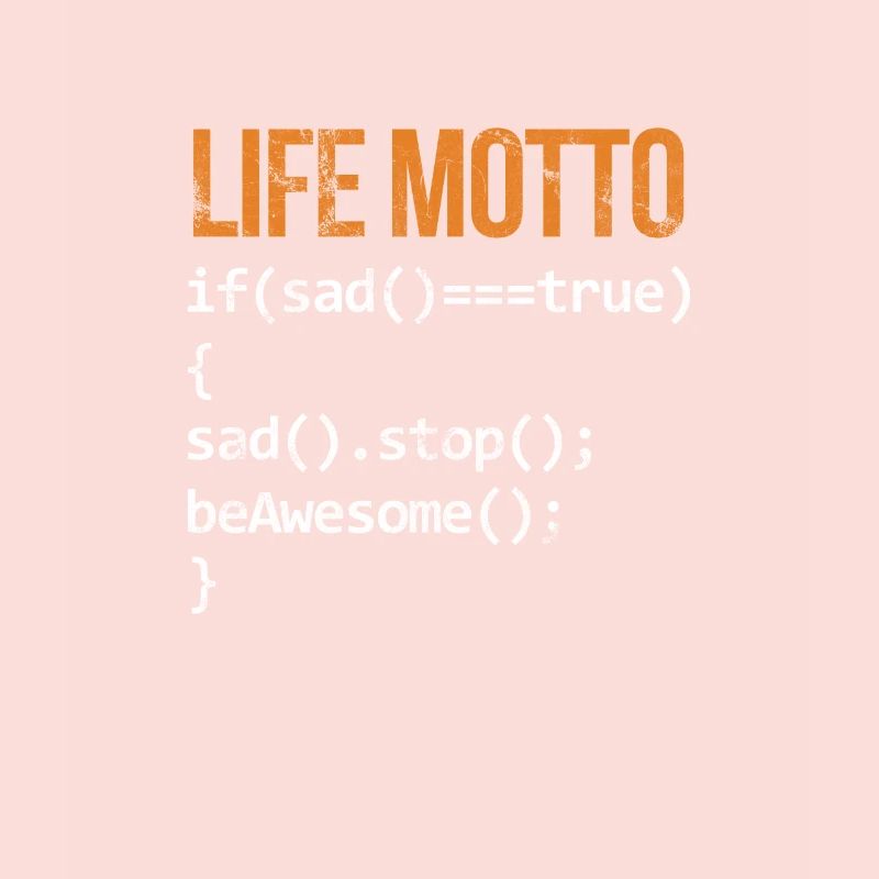 Software developer