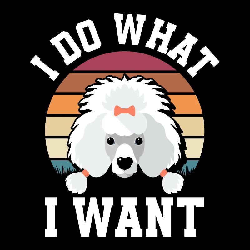 Caniche
