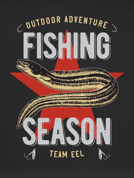 Eel anguillae fishing