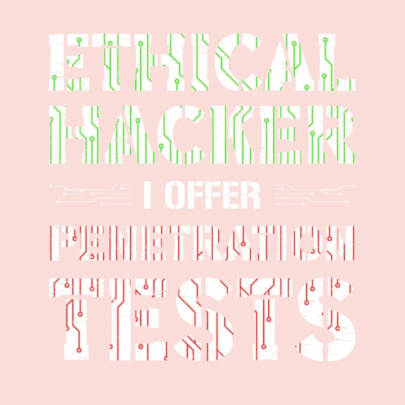 Développeur Web Computer Security Hacker