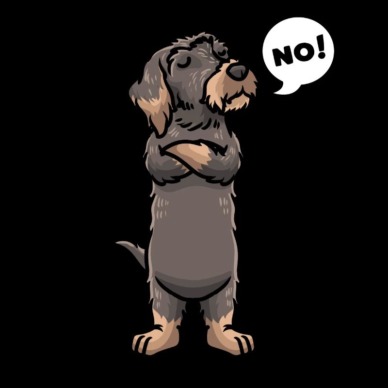 Rough-haired Dachshund Dog