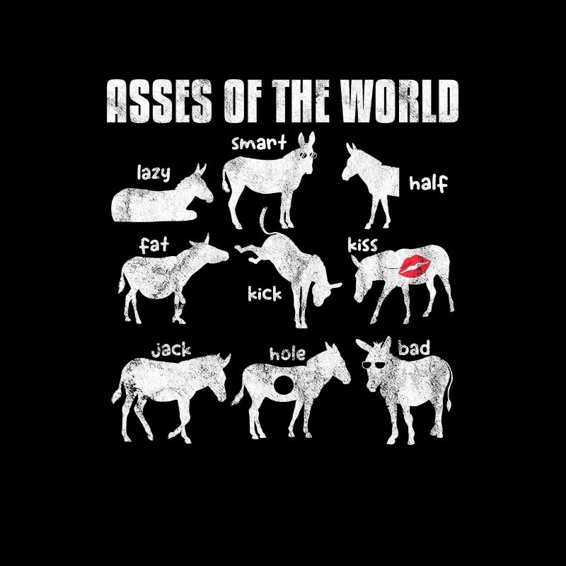Donkey