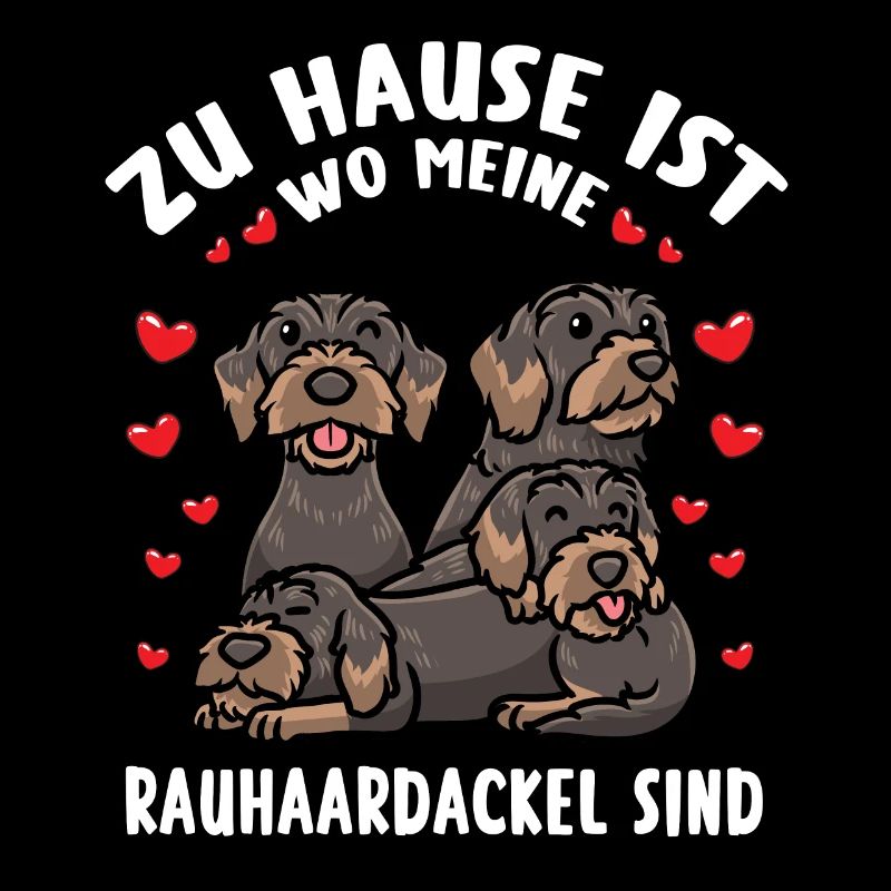 Rough-haired Dachshund Dog