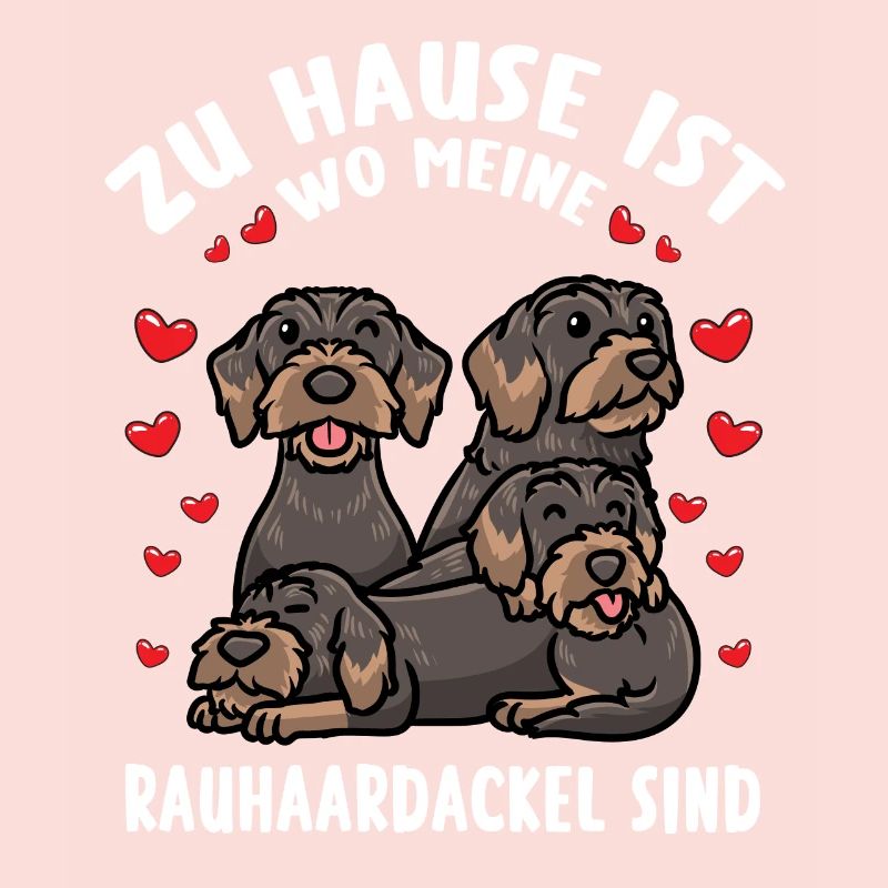 Rough-haired Dachshund Dog