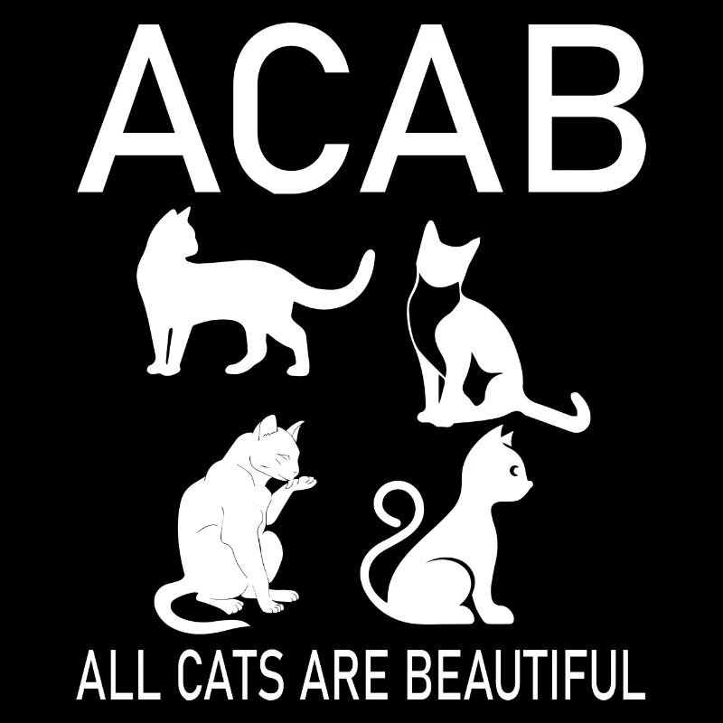 Chat Katze