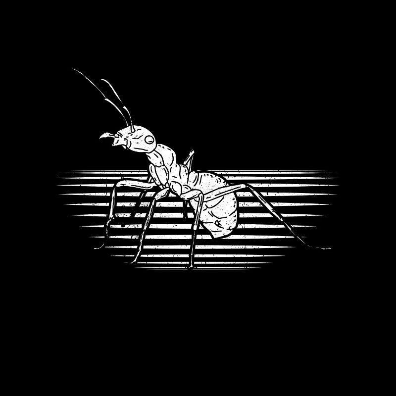 Fourmi insecte