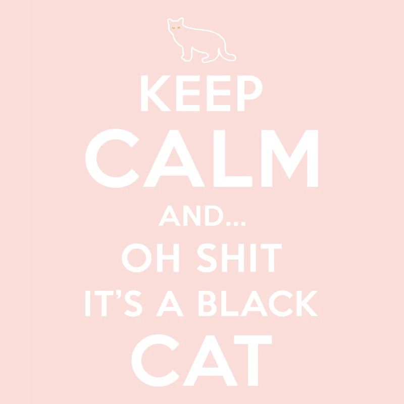Superstition Chat Noir